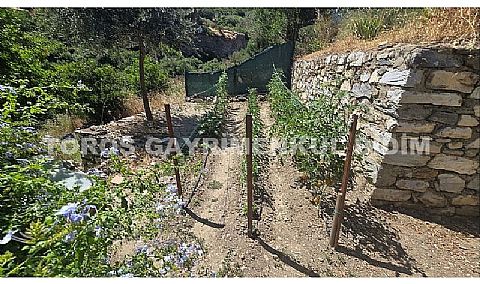 Aydın Söke doğanbey Köyünde 1028m2 arsa üzerine kurulu Satılık Müstakil Ev